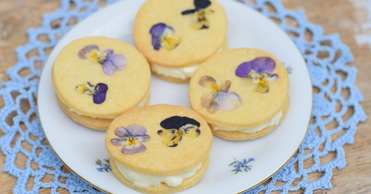 przepis-na-porzeczkowy-deser-z-korzennymi-ciasteczkami